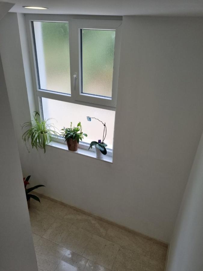 Apartmán Tolj *
