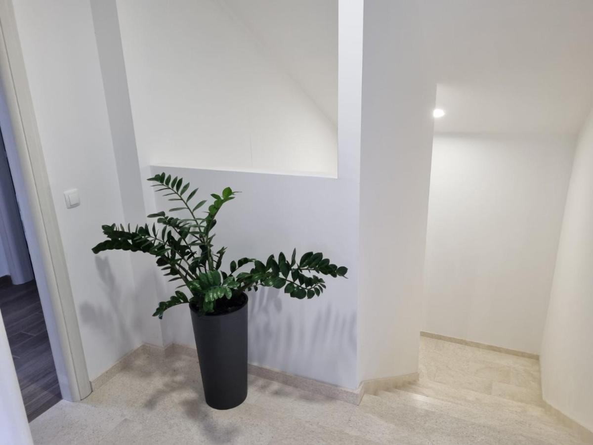 Apartmán Tolj *